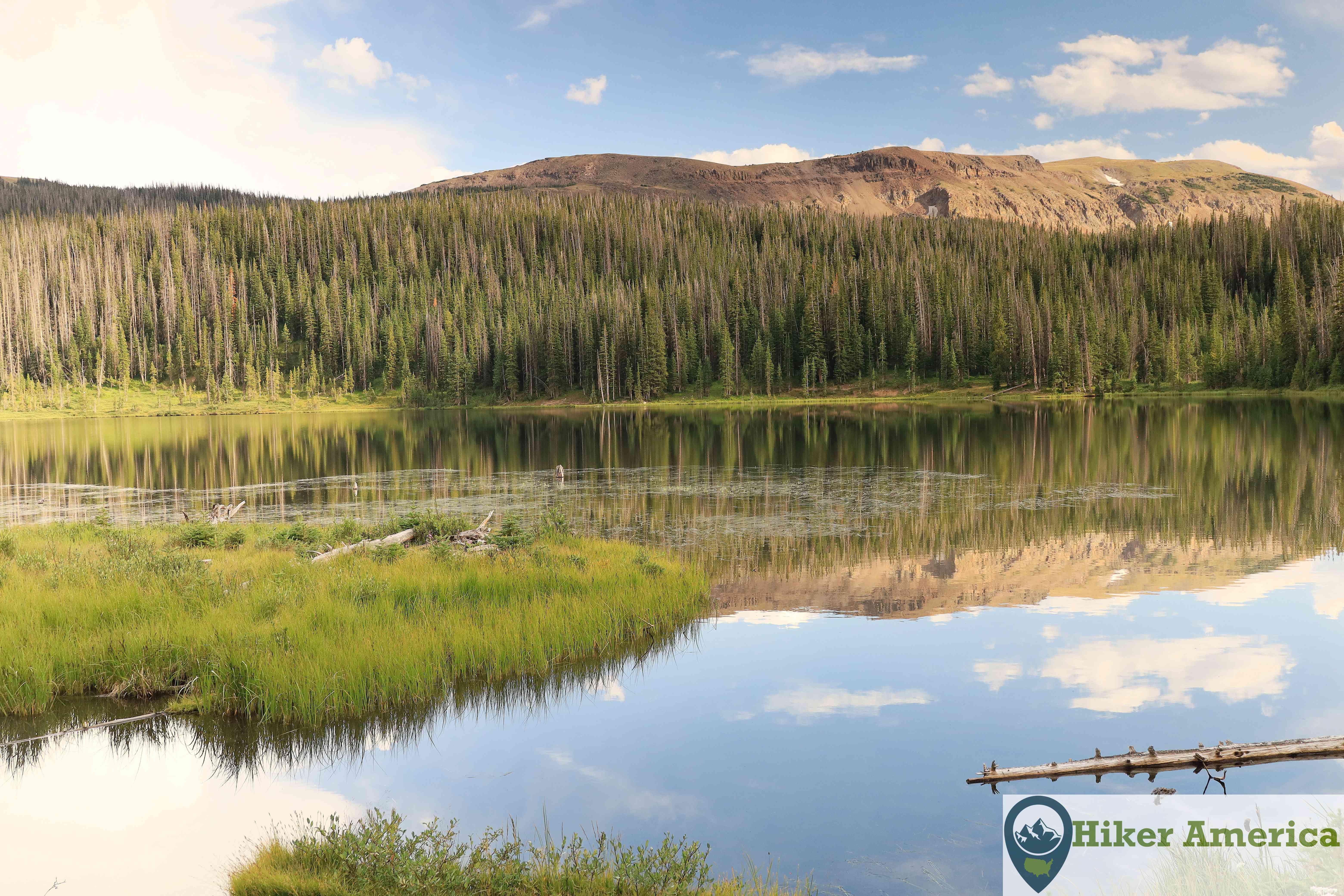 Another view of Zimmerman Lake.